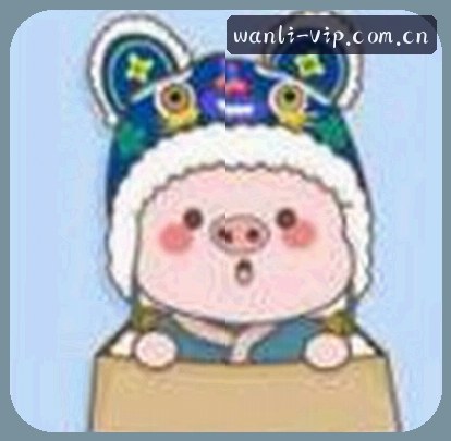何丽
